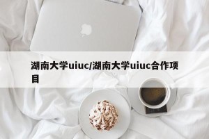 湖南大学uiuc/湖南大学uiuc合作项目