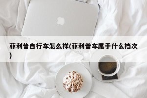 菲利普自行车怎么样(菲利普车属于什么档次)