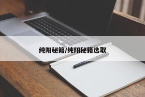 纯阳秘籍/纯阳秘籍选取