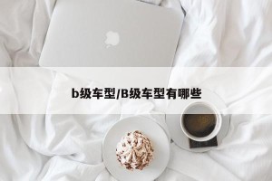 b级车型/B级车型有哪些